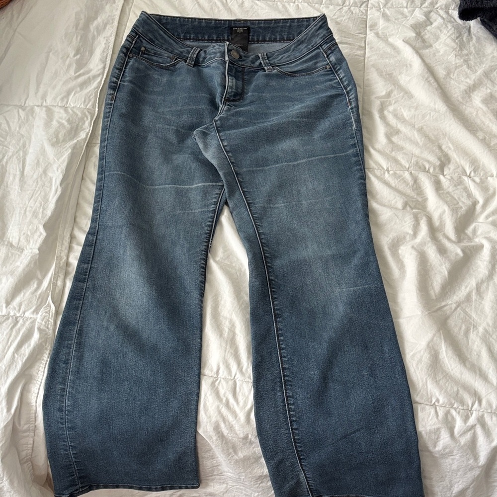 Classic Blue Women's Jeans- Ann Taylor